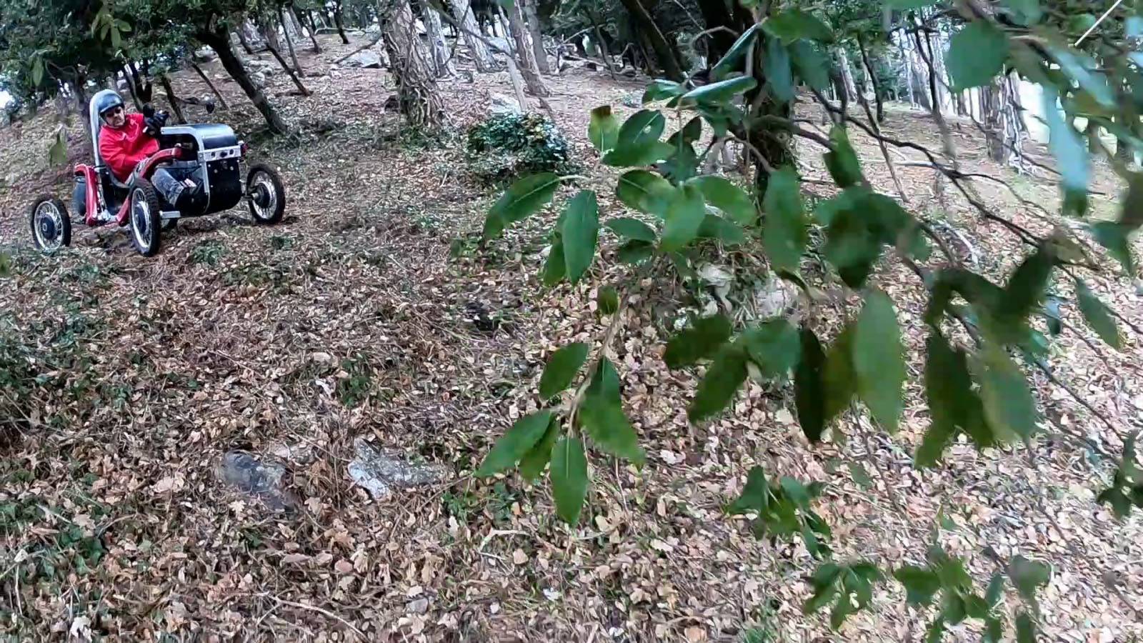 The colors and smell of forests, different way to enjoy your leisure time