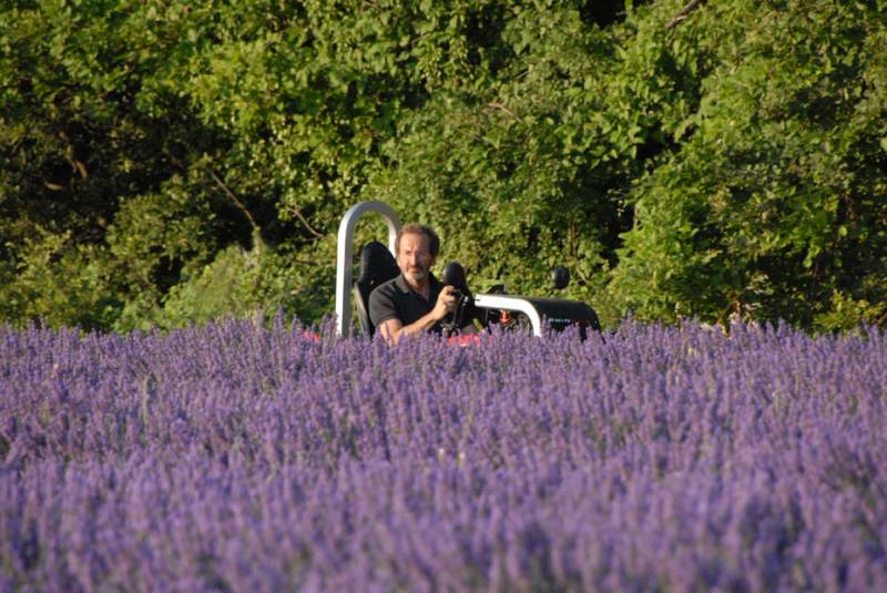 The scent of lavender...  the fields and smell the flowers