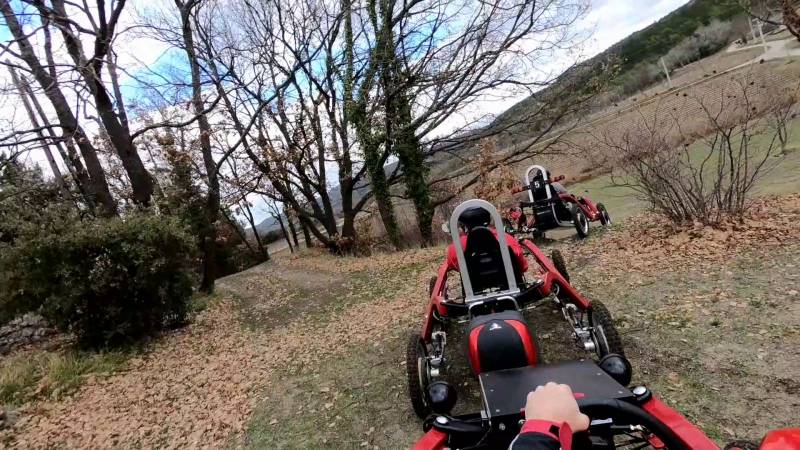 The colors and smell of forests, different way to enjoy your leisure time